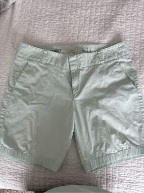 J. Crew Frankie Mint Green Shorts - Size 14